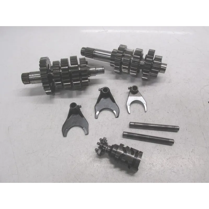 Boite de vitesses APRILIA RSV 1000 2002-2005 TUONO R