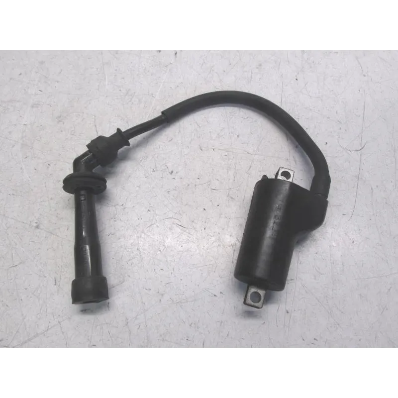 Bobine allumage SUZUKI SV 650 N 1999-2002