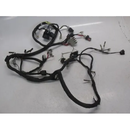 Faisceau electrique YAMAHA XJ 900 S 1995-2001 DIVERSION