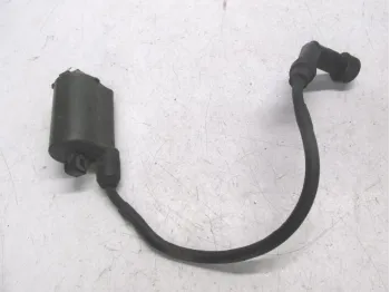 Bobine allumage HONDA FES 125 2003-2006 PANTHEON