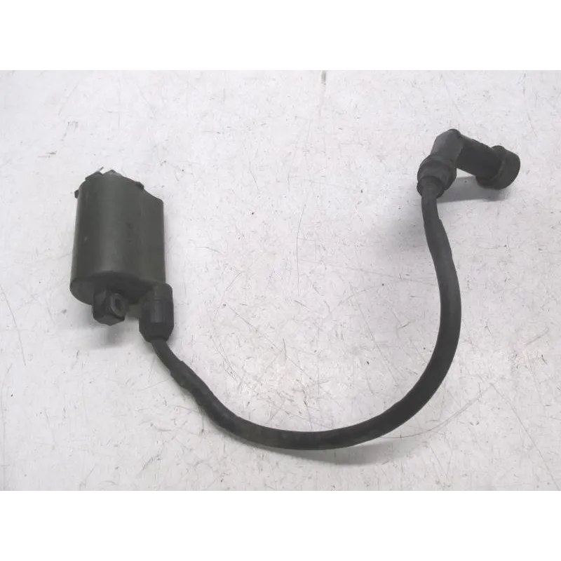 Bobine allumage HONDA FES 125 2003-2006 PANTHEON