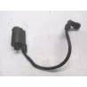 Bobine allumage HONDA FES 125 2003-2006 PANTHEON