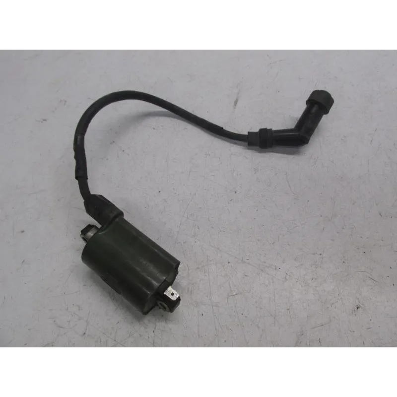 Bobine allumage HONDA FES 125 2003-2006 PANTHEON
