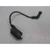 Bobine allumage HONDA FES 125 2003-2006 PANTHEON