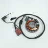 Stator alternateur PIAGGIO MP3 125 2008-2011 IE Stator alternateur PIAGGIO MP3 125 2008-2011 IE
