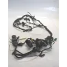 Faisceau electrique SUZUKI AN 400 2003-2006 BURGMAN Faisceau electrique SUZUKI AN 400 2003-2006 BURGMAN