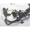 Faisceau electrique SUZUKI AN 400 2003-2006 BURGMAN Faisceau electrique SUZUKI AN 400 2003-2006 BURGMAN