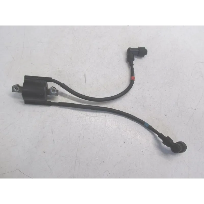 Bobine allumage YAMAHA XJ 600 S 1992-1995 DIVERSION