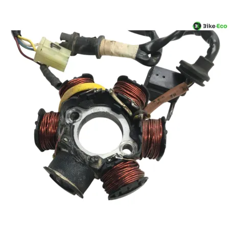Stator alternateur SKYTEAM DAX