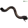 Collecteur arriere (echappement) YAMAHA VMAX 1200 1986-1992 Collecteur arriere (echappement) YAMAHA VMAX 1200 1986-1992