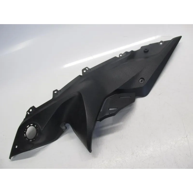 Cache lateral gauche BMW R 1250 RS 2018-2023 K54