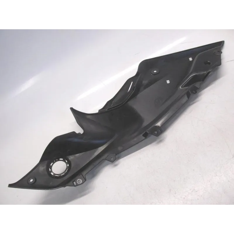 Cache lateral gauche BMW R 1250 RS 2018-2023 K54
