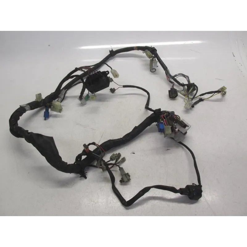 Faisceau electrique YAMAHA FZS 600 2000-2001 FAZER