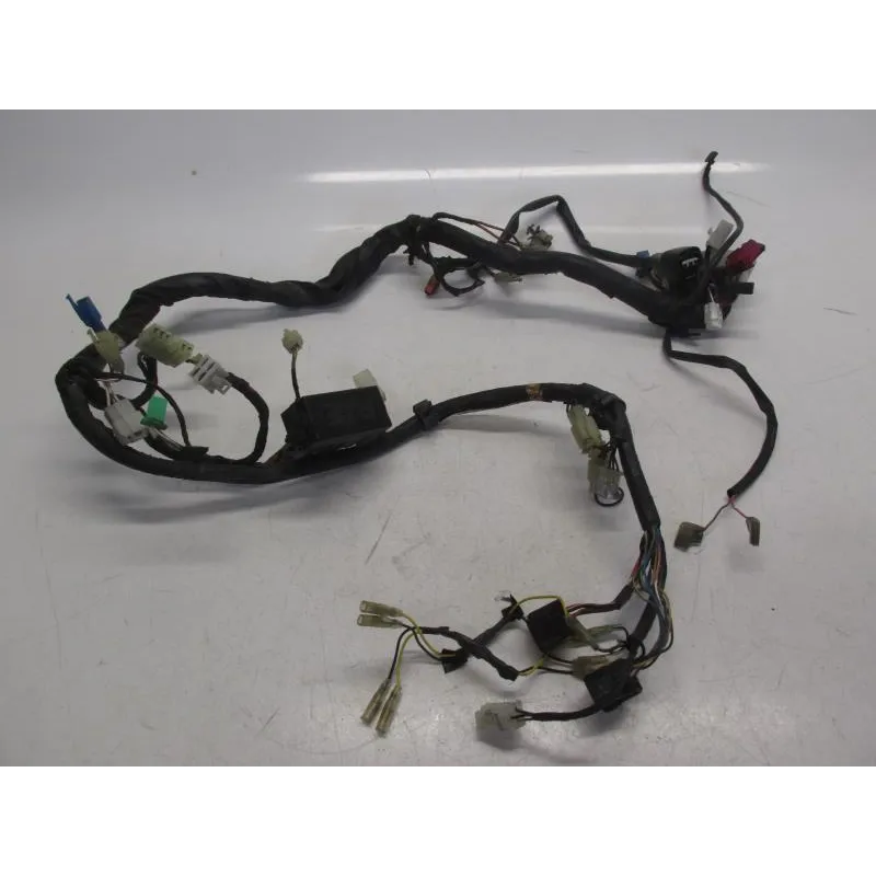 Faisceau electrique YAMAHA FZS 600 2000-2001 FAZER