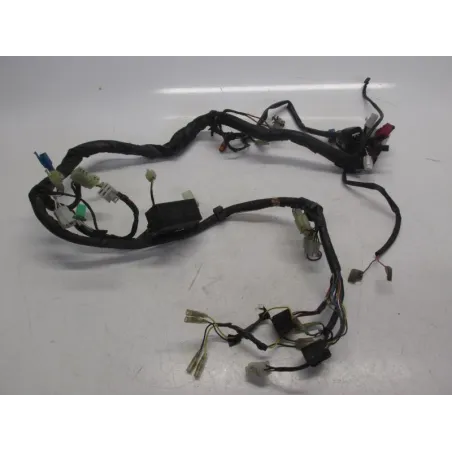 Faisceau electrique YAMAHA FZS 600 2000-2001 FAZER