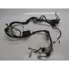 Faisceau electrique YAMAHA FZS 600 2000-2001 FAZER