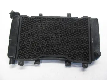 Radiateur eau YAMAHA TDM 850 1996-1998