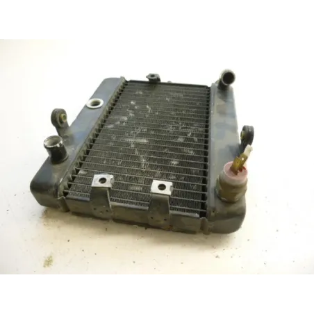 Radiateur eau YAMAHA YP 250 1996-1998 MAJESTY