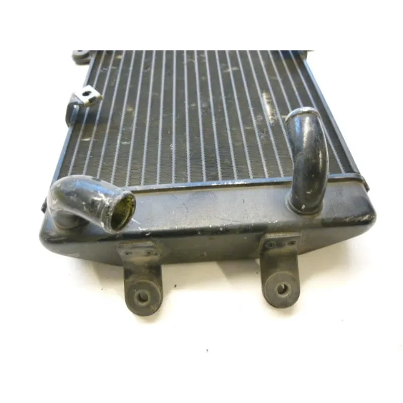 Radiateur eau SUZUKI AN 250 1998-2002 BURGMAN