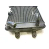 Radiateur eau SUZUKI AN 250 1998-2002 BURGMAN
