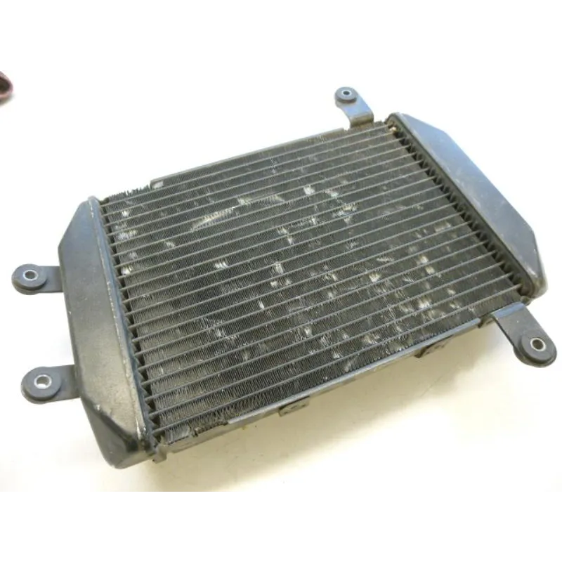 Radiateur eau SUZUKI AN 250 1998-2002 BURGMAN