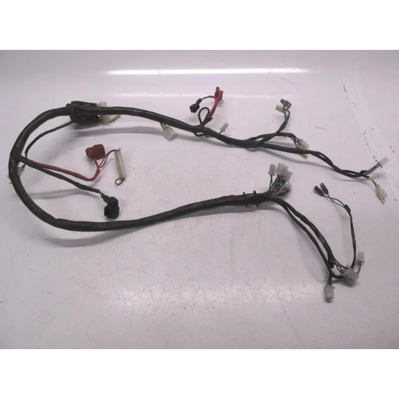 Faisceau electrique DAELIM ES 50 2010-2012 S4