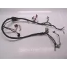 Faisceau electrique DAELIM ES 50 2010-2012 S4