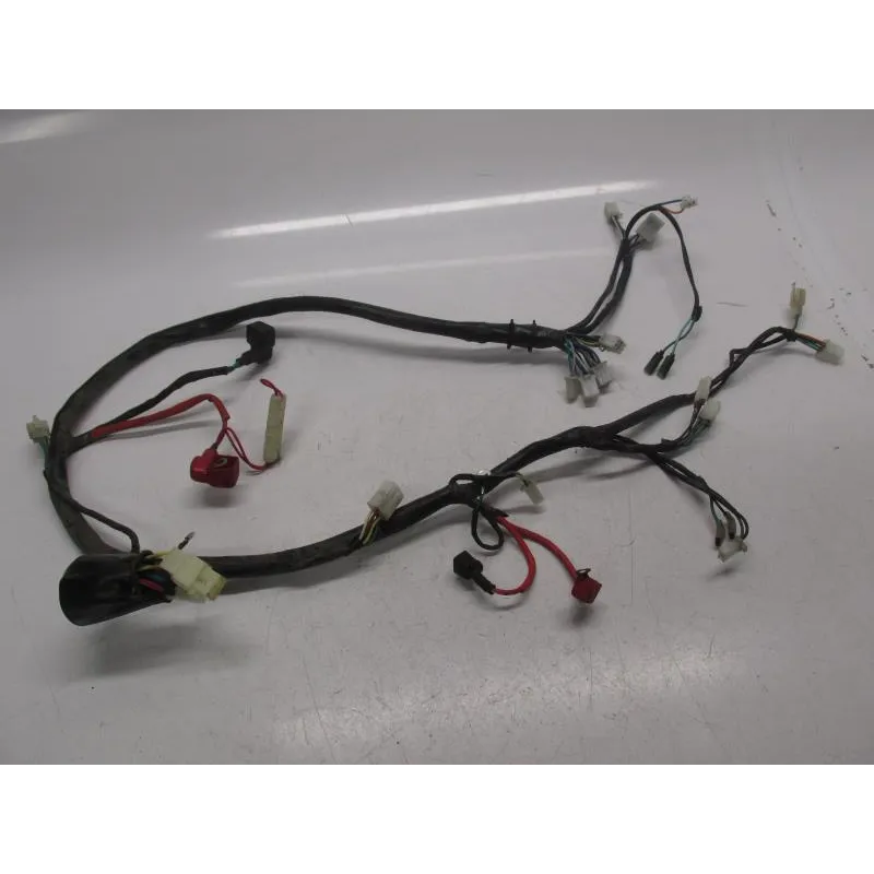 Faisceau electrique DAELIM ES 50 2010-2012 S4