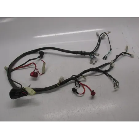 Faisceau electrique DAELIM ES 50 2010-2012 S4