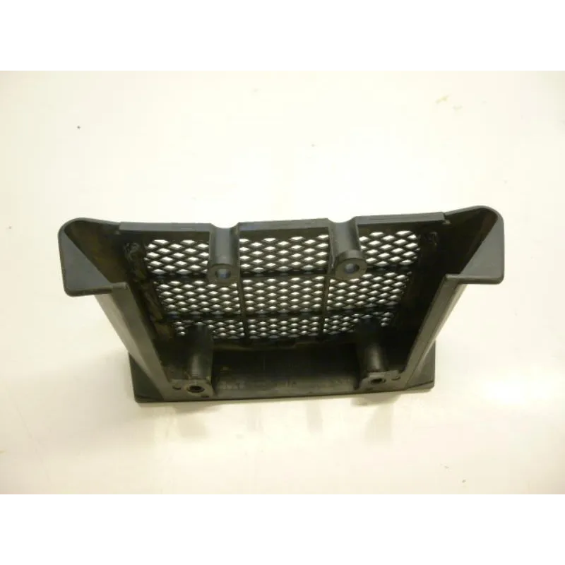 Grille de radiateur DAELIM VL 125 2013-2014 DAYSTAR