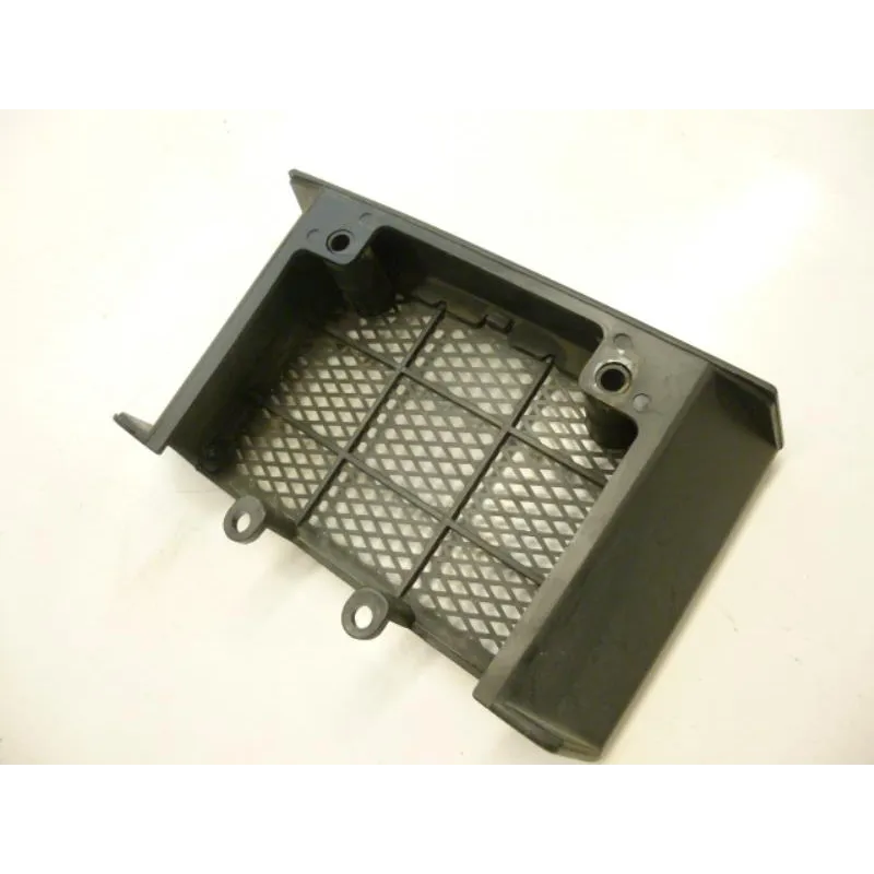 Grille de radiateur DAELIM VL 125 2013-2014 DAYSTAR