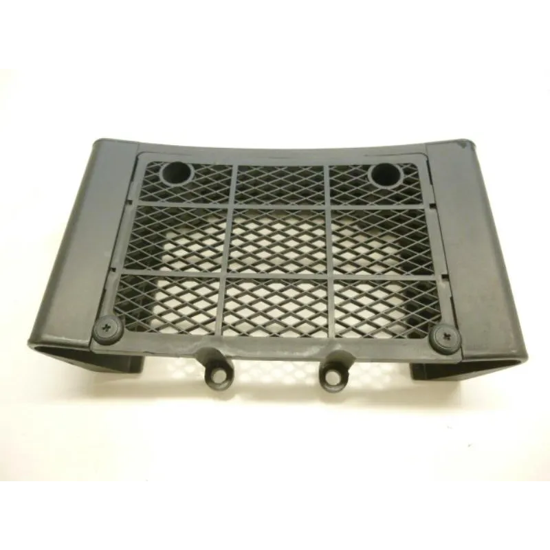 Grille de radiateur DAELIM VL 125 2013-2014 DAYSTAR