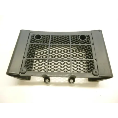Grille de radiateur DAELIM VL 125 2013-2014 DAYSTAR