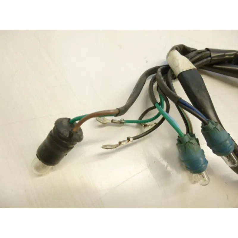 Faisceau electrique DAELIM VL 125 2013-2014 DAYSTAR