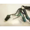 Faisceau electrique DAELIM VL 125 2013-2014 DAYSTAR