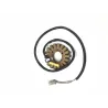 Stator alternateur YAMAHA XJ 600 N 1999-2002 Stator alternateur YAMAHA XJ 600 N 1999-2002
