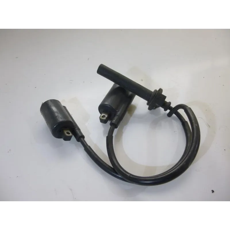 Bobine allumage YAMAHA TDM 900 2005-2006