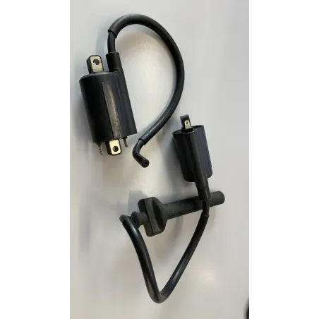 Bobine allumage YAMAHA TDM 900 2005-2006