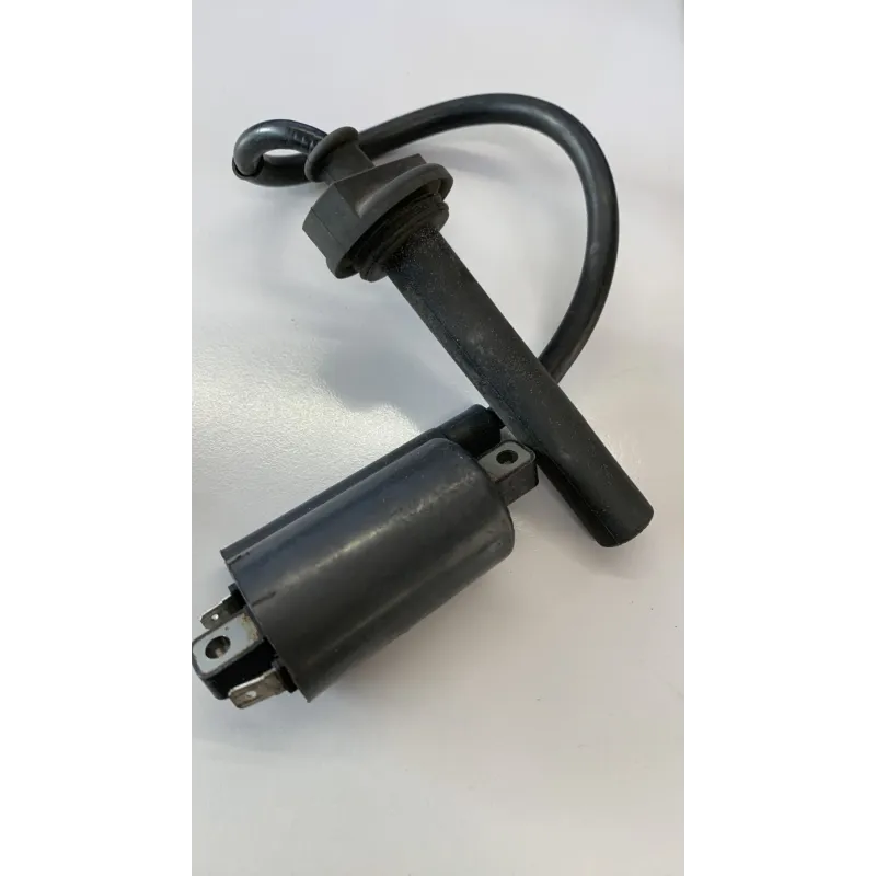 Bobine allumage YAMAHA TDM 900 2005-2006