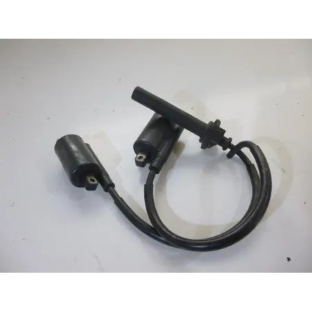 Bobine allumage YAMAHA TDM 900 2005-2006