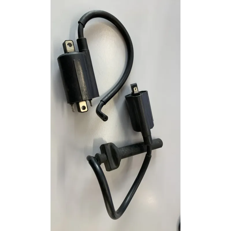 Bobine allumage YAMAHA TDM 900 2005-2006