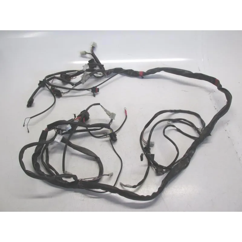 Faisceau electrique APRILIA ATLANTIC 125 2006-2012