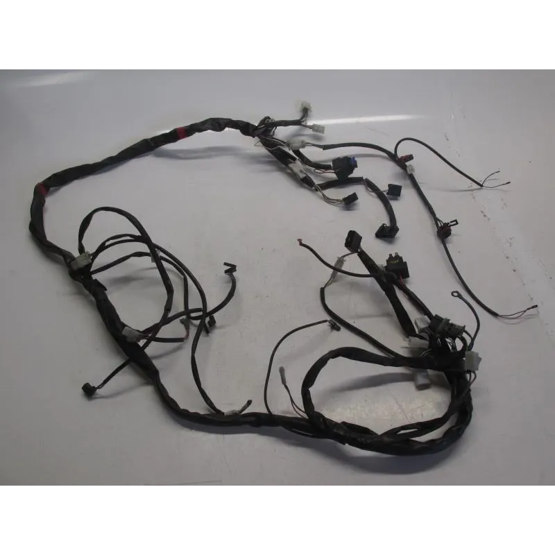 Faisceau electrique APRILIA ATLANTIC 125 2006-2012