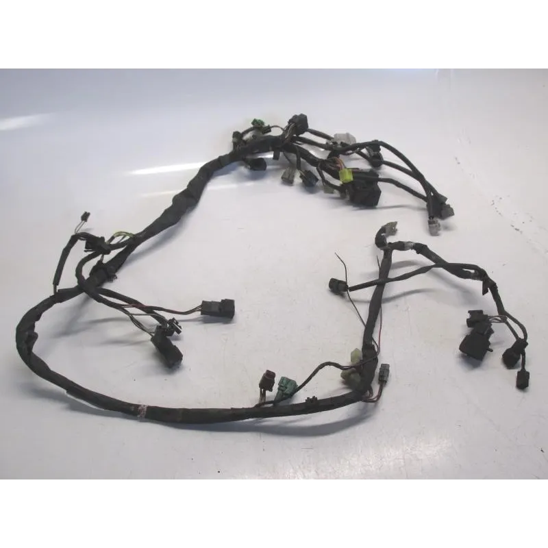 Faisceau electrique SUZUKI AN 400 2003-2006 BURGMAN