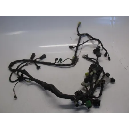 Faisceau electrique SUZUKI AN 400 2003-2006 BURGMAN