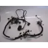 Faisceau electrique KAWASAKI ER5 500 1997-2000