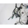 Faisceau electrique KAWASAKI ER6 650 2012-2016 N