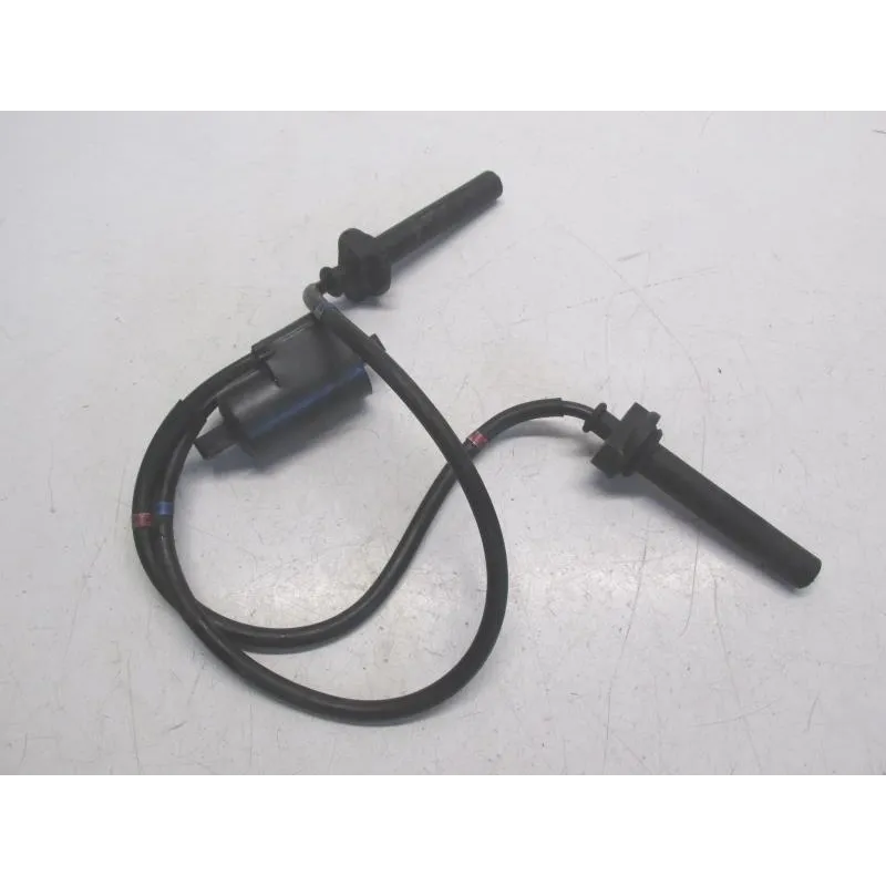 Bobine allumage YAMAHA FJR 1300 2006-2007 ABS