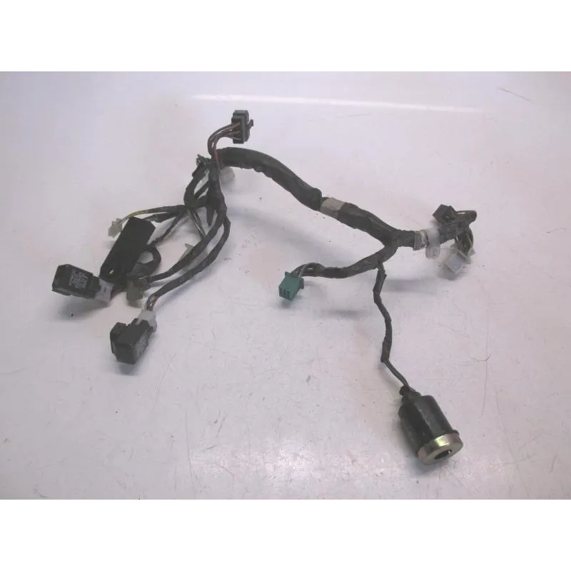 Faisceau electrique KYMCO EGO 250 2001-2003