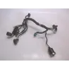 Faisceau electrique KYMCO EGO 250 2001-2003 Faisceau electrique KYMCO EGO 250 2001-2003